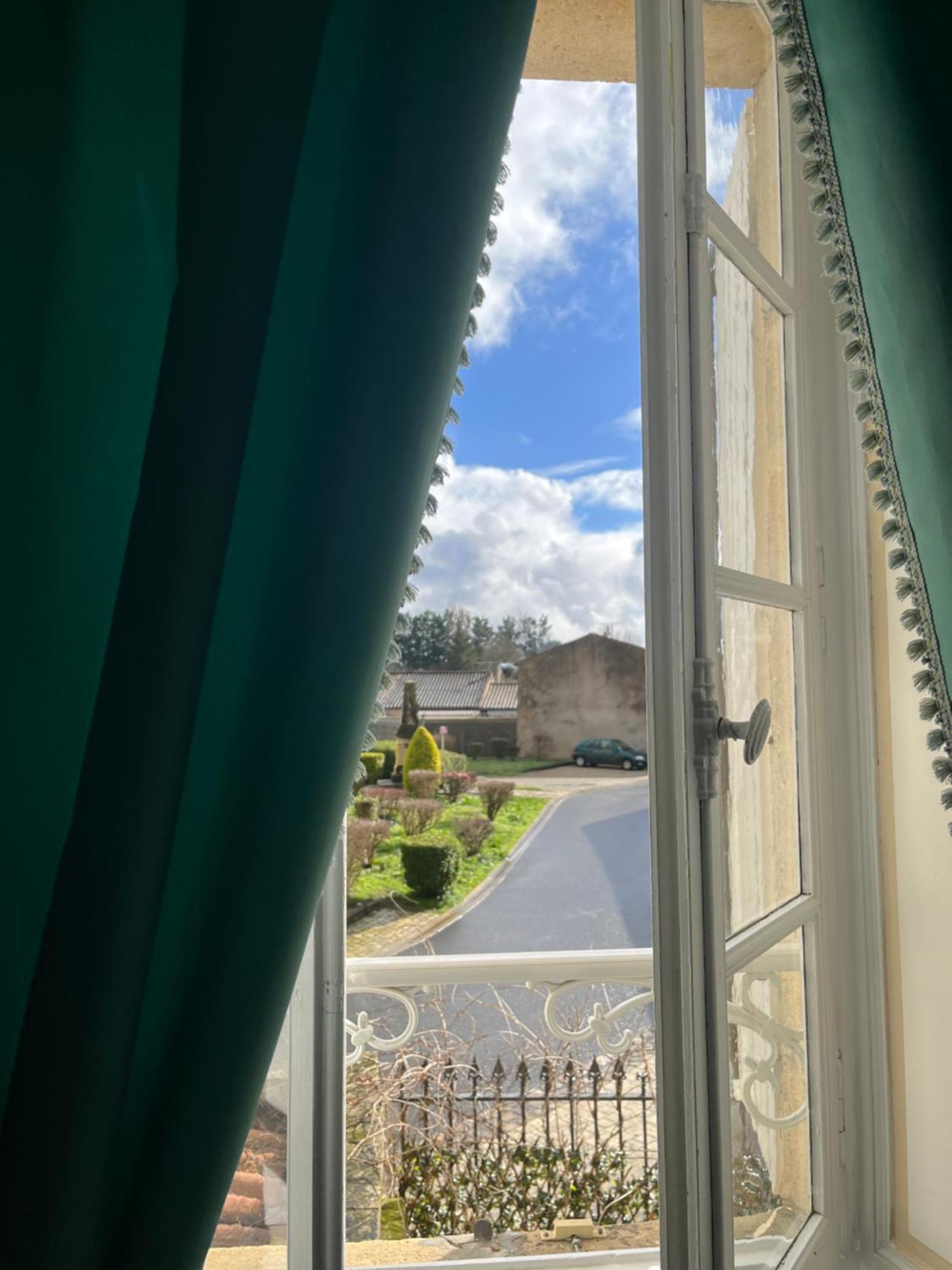 Chateau De Mesnac Esterno foto